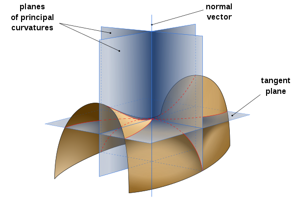 A "saddle-surface".